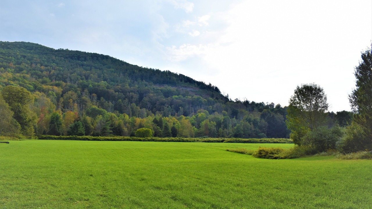 Photo of Others in Windham