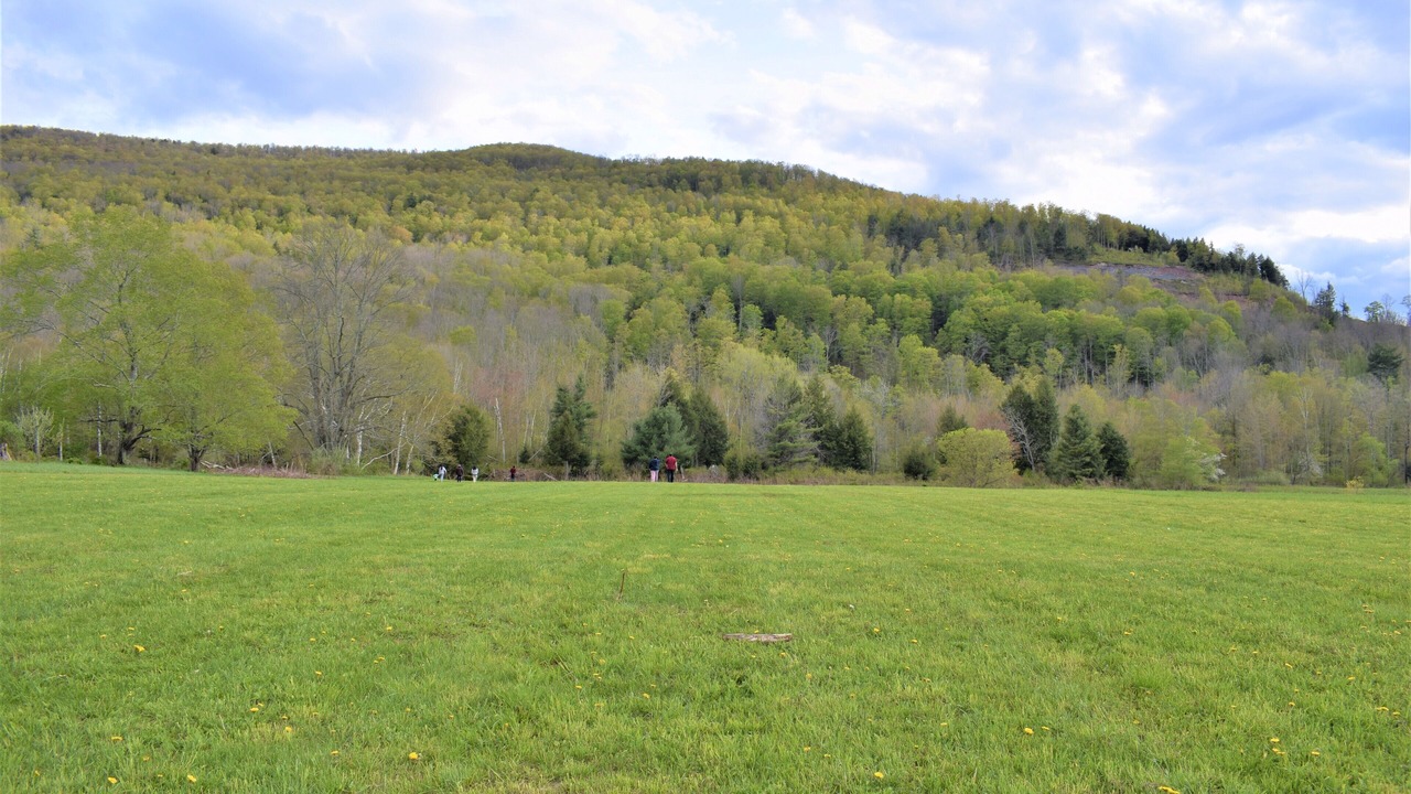 Photo of Outdoor in Windham