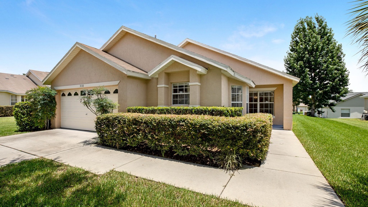 Photo of Outdoor in Orange Tree