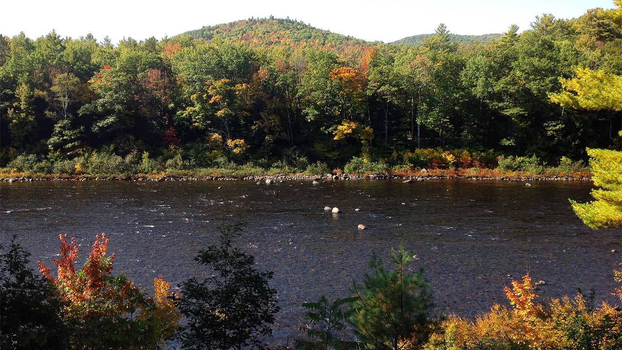 Photo of Others in The Glen