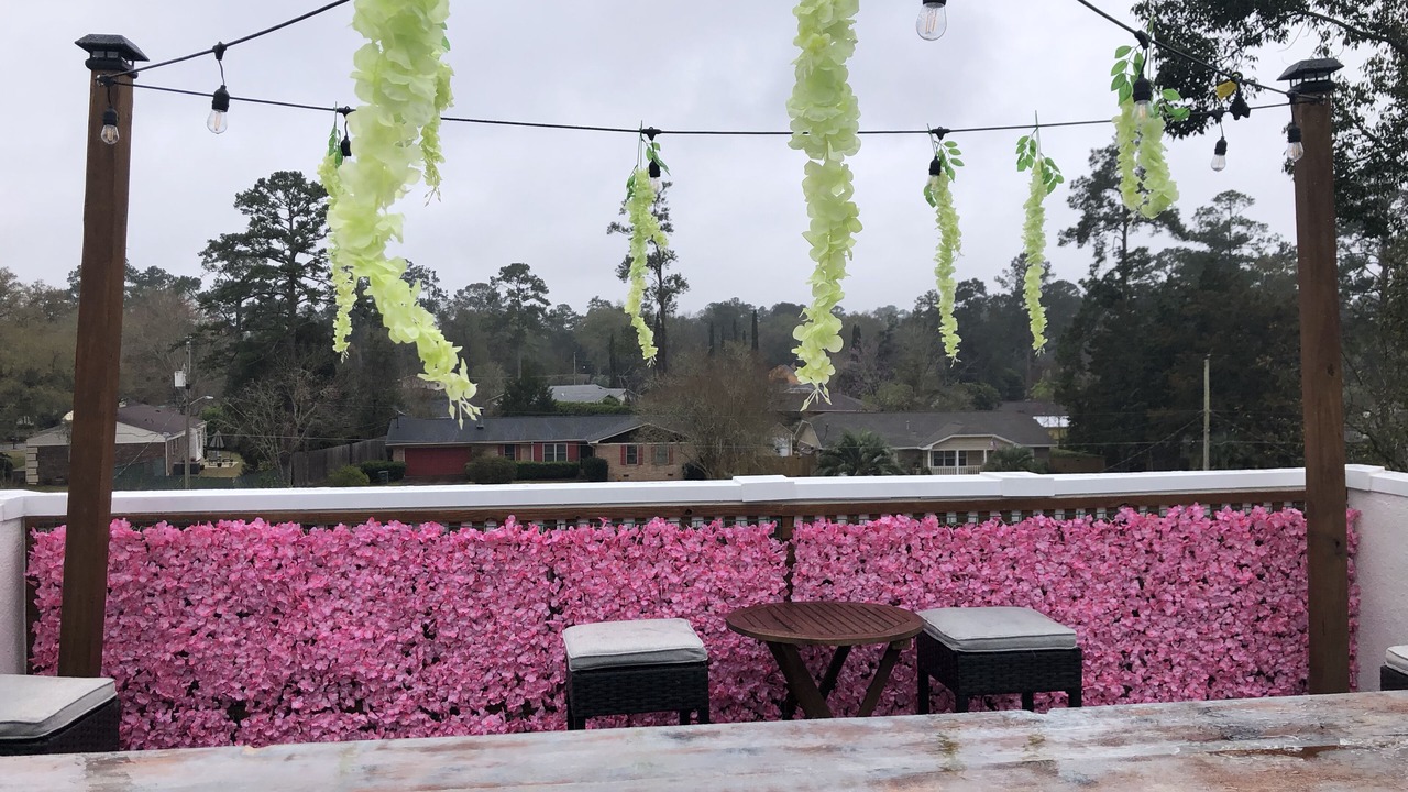 Photo of Outdoor in Tallahassee