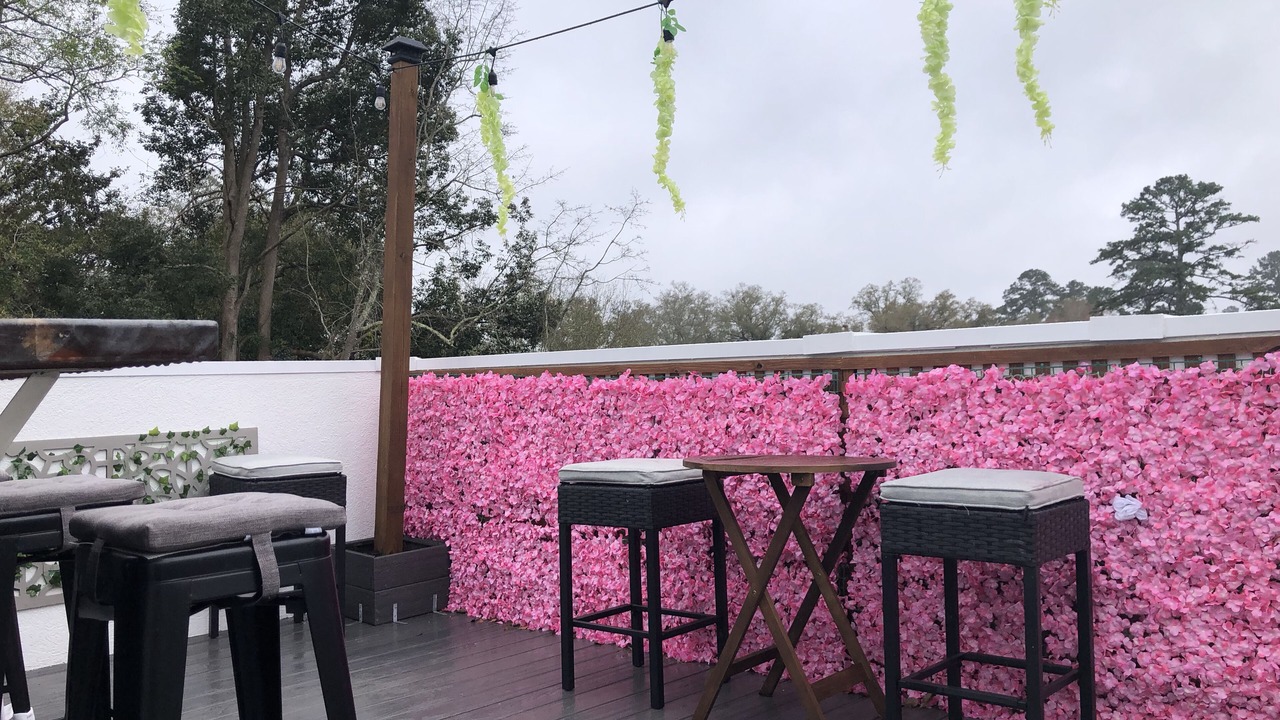 Photo of Outdoor in Tallahassee