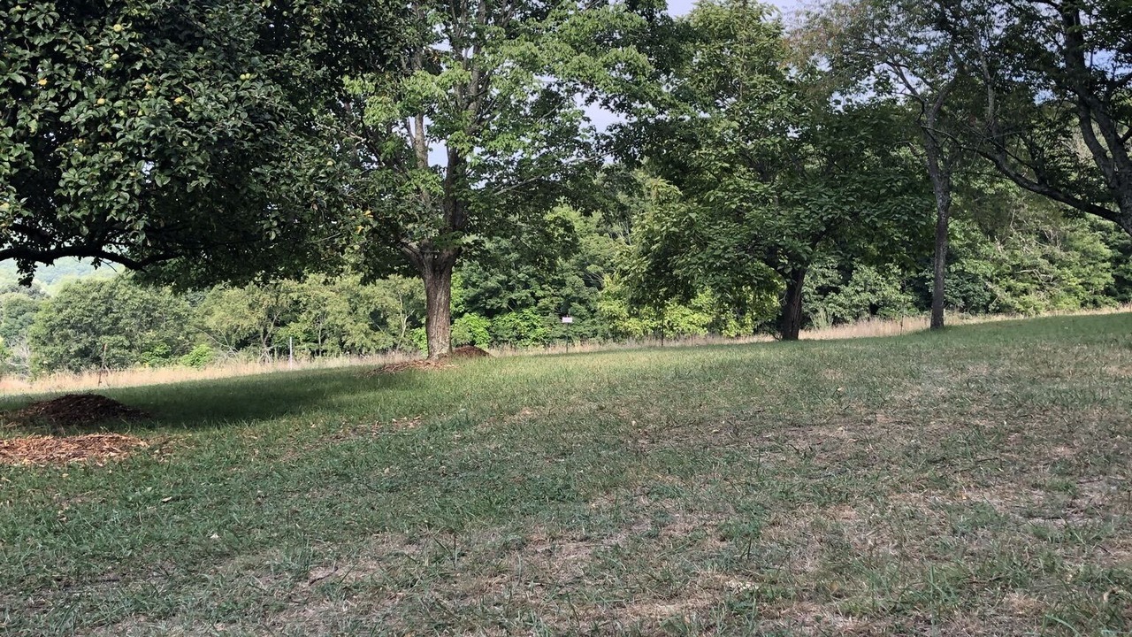 Photo of Outdoor in Union