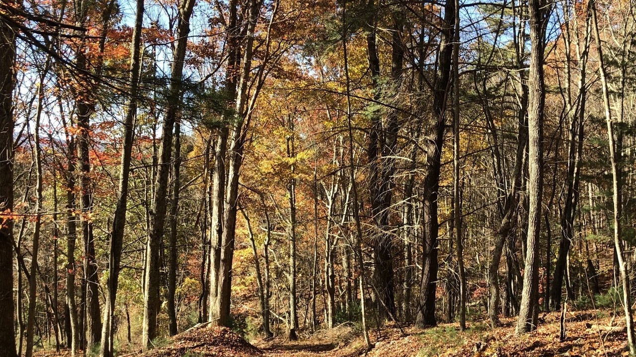 Photo of Outdoor in Union