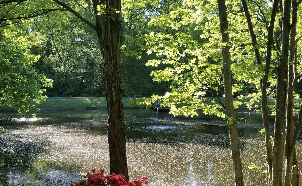 Photo of Outdoor in Burke
