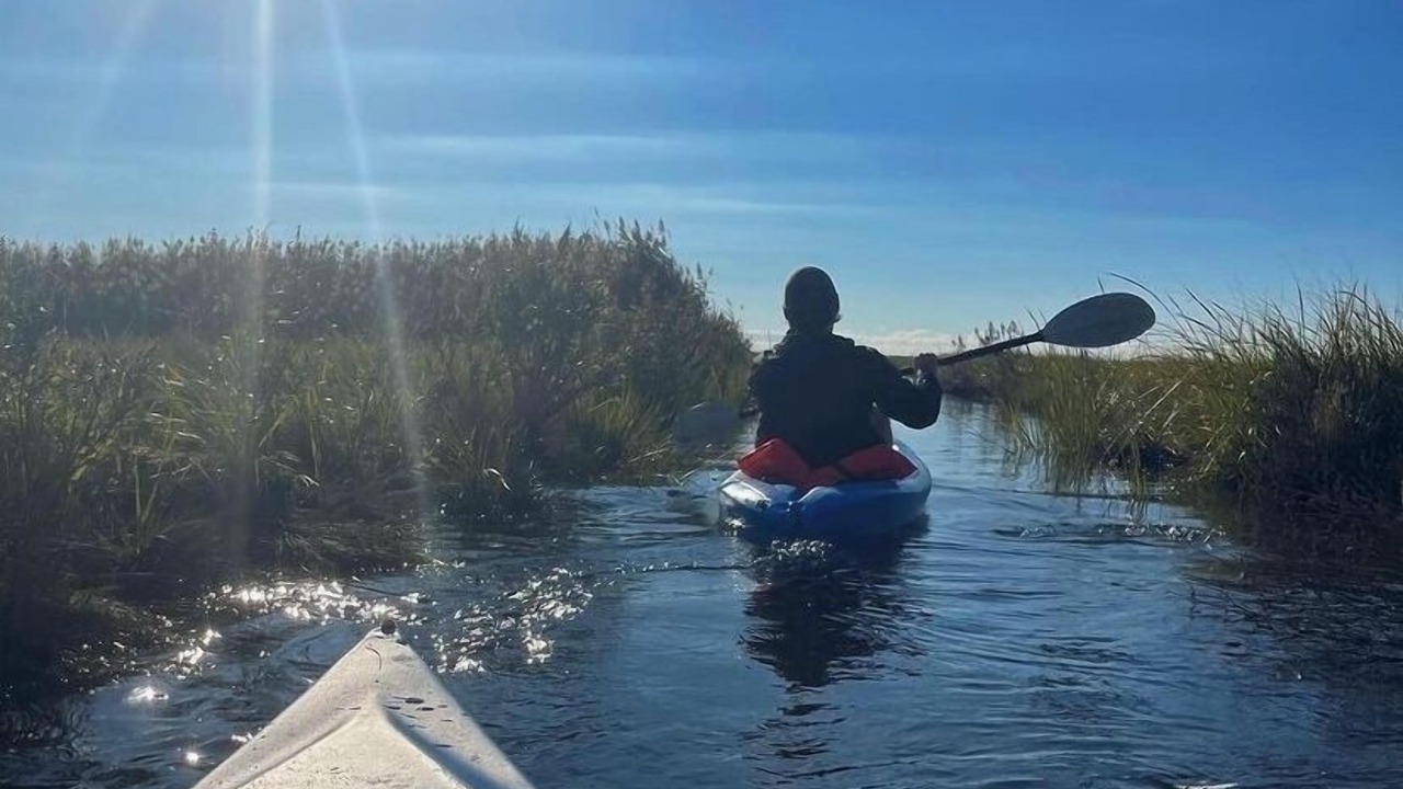 Photo of Others in Mastic Beach