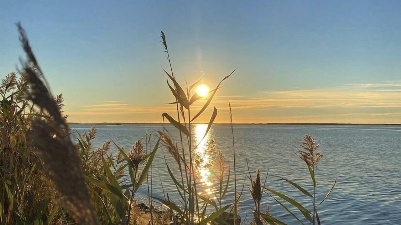 Photo of Others in Mastic Beach