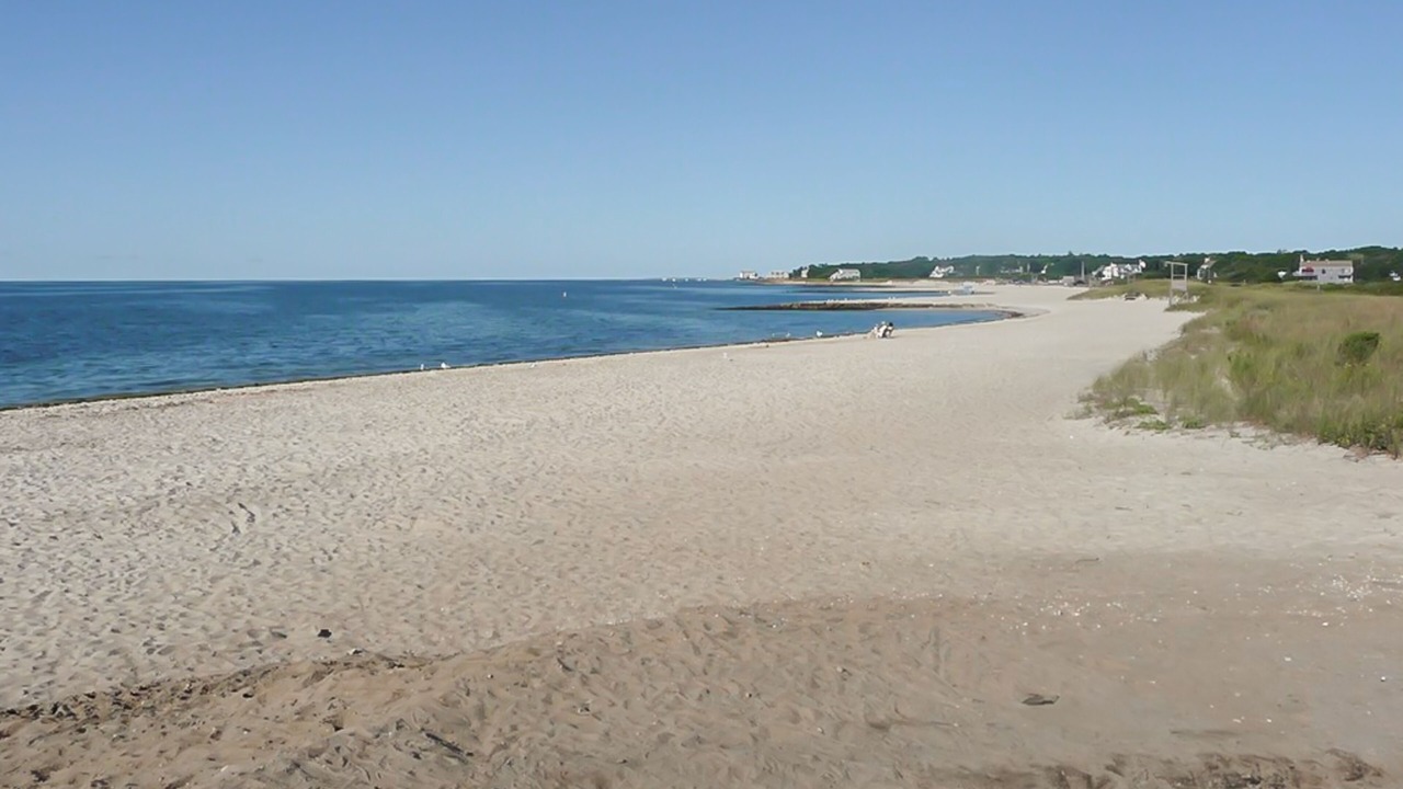 Photo of Others in East Harwich