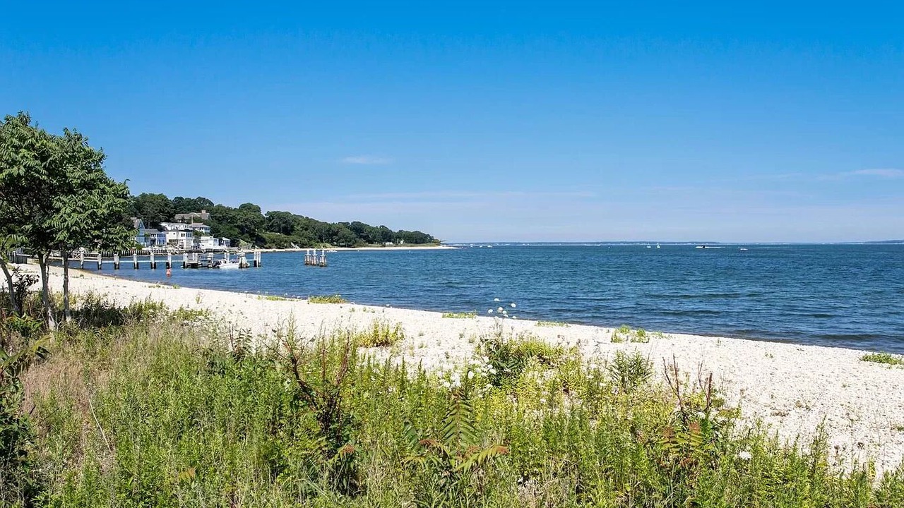 Photo of Others in Sag Harbor