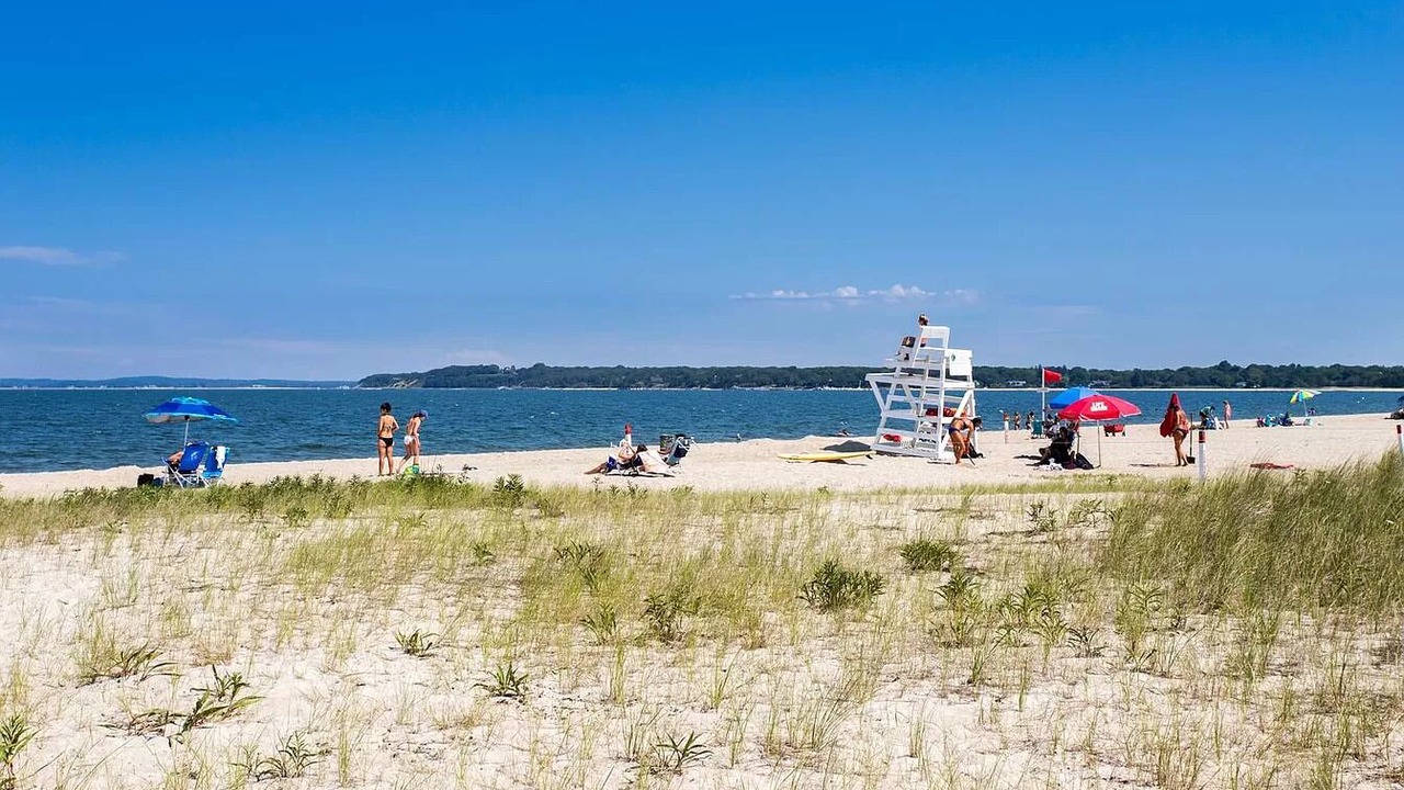 Photo of Others in Sag Harbor