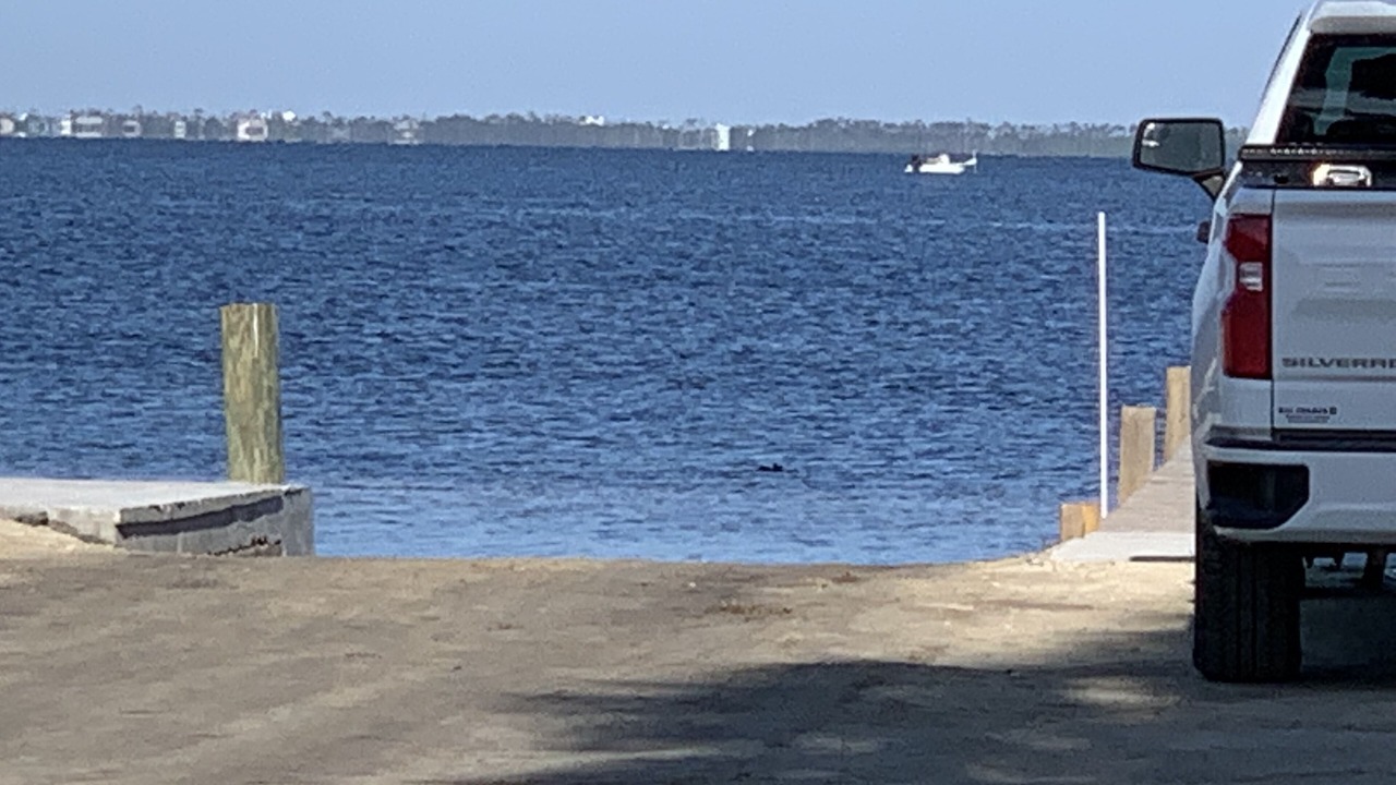 Photo of Others in Port St. Joe