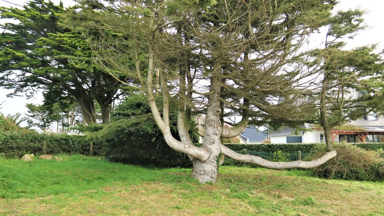 Photo of Outdoor in Trebeurden