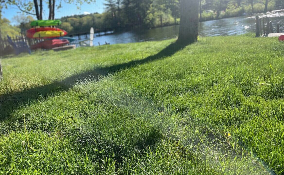 Photo of Outdoor in Westminster