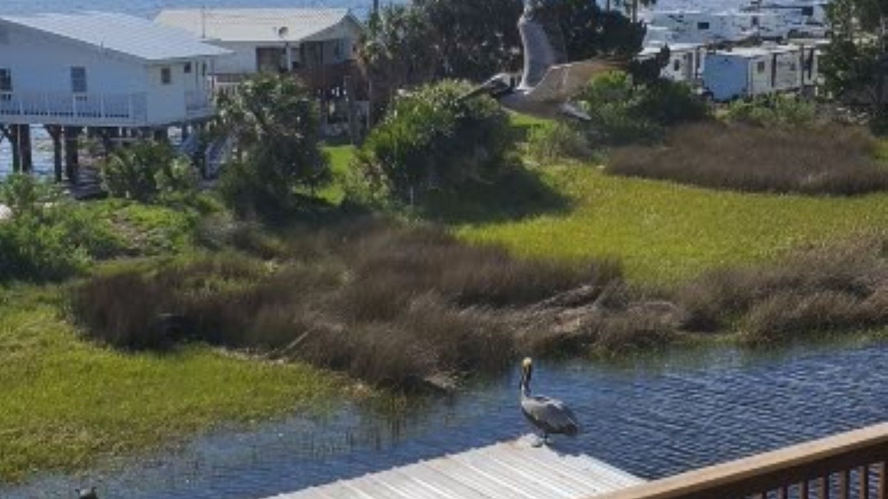 Photo of Outdoor in Keaton Beach