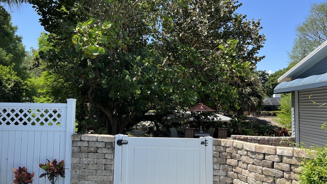 Photo of Outdoor in Winter Haven
