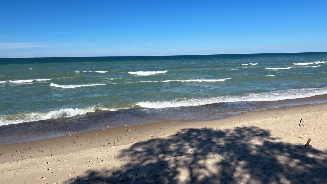 Photo of Others in Beverly Shores