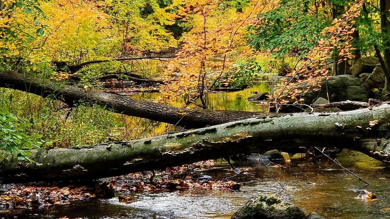 Photo of Outdoor in Cortlandt
