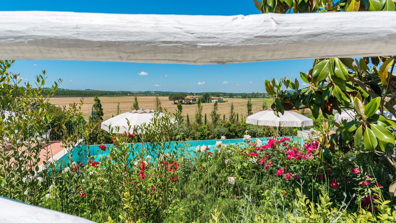 Photo of Outdoor in Palaia