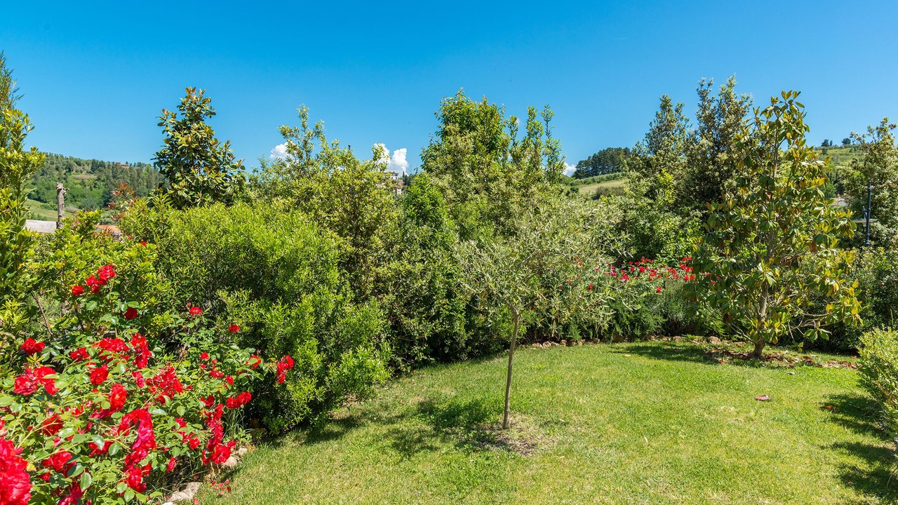 Photo of Outdoor in Palaia