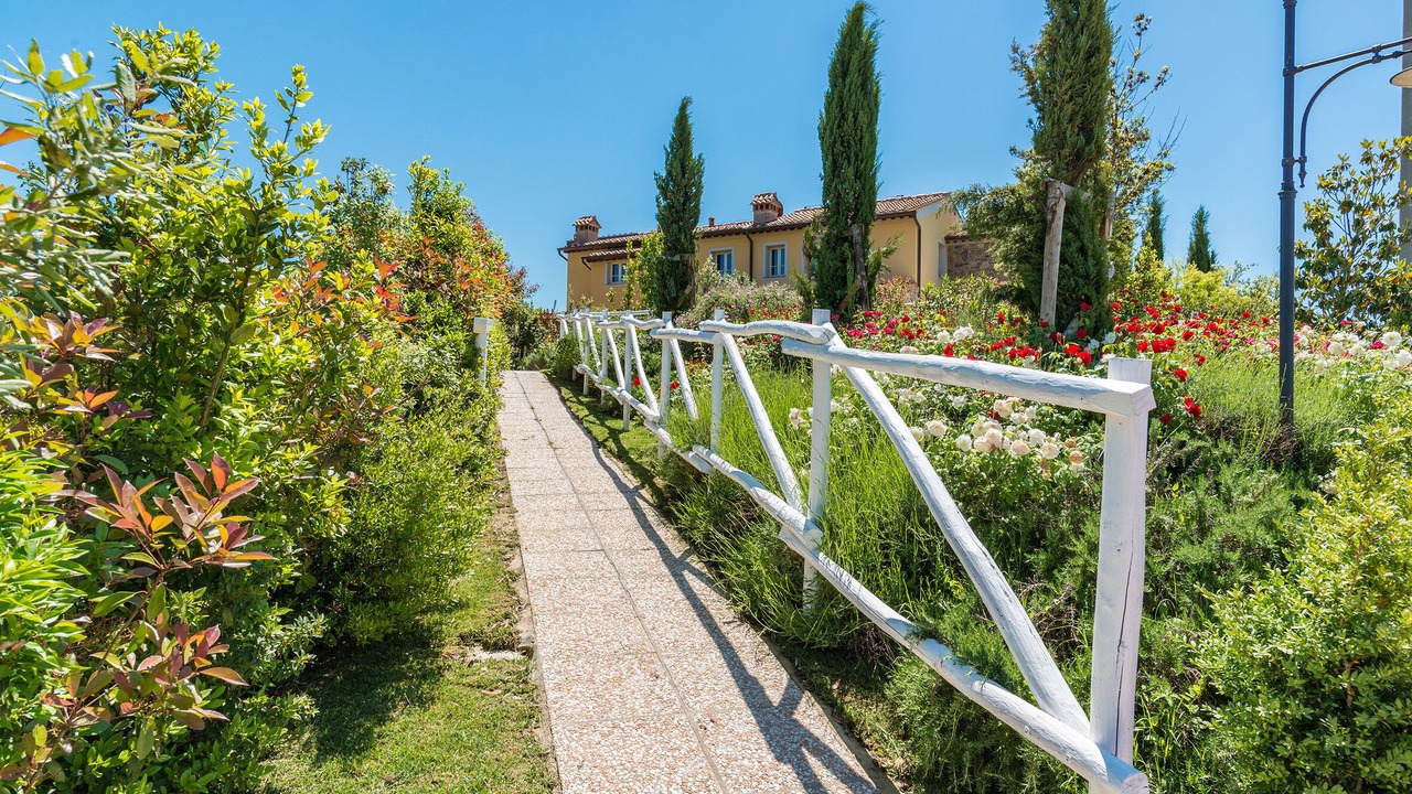 Photo of Outdoor in Palaia