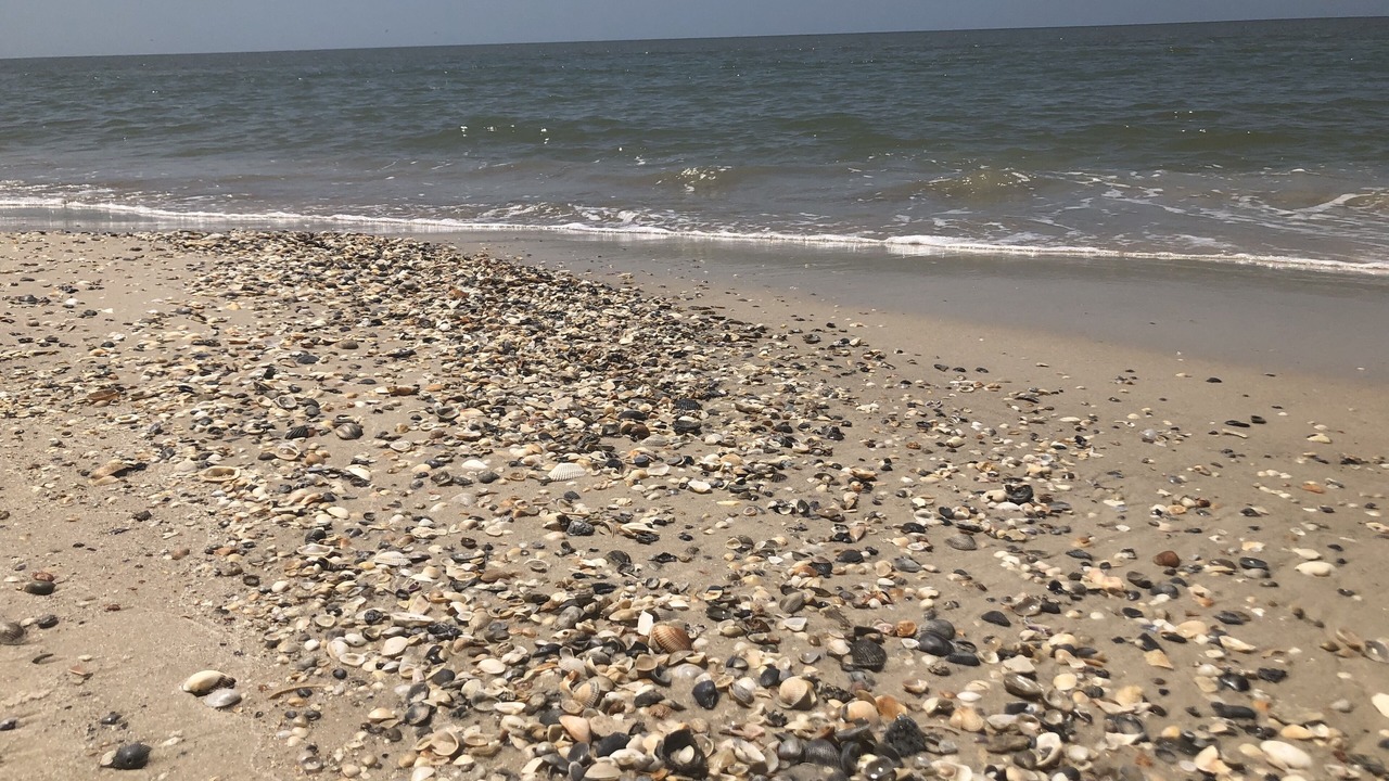 Photo of Others in Port St. Joe