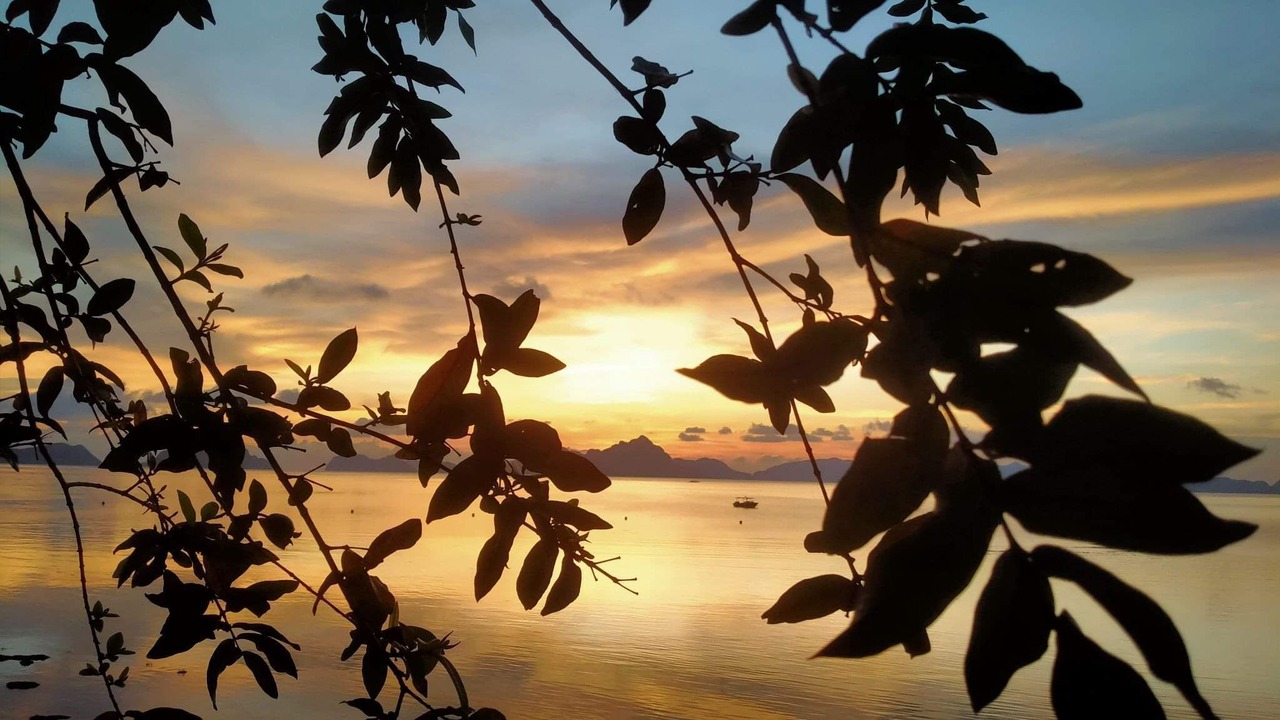 Photo of Others in El Nido
