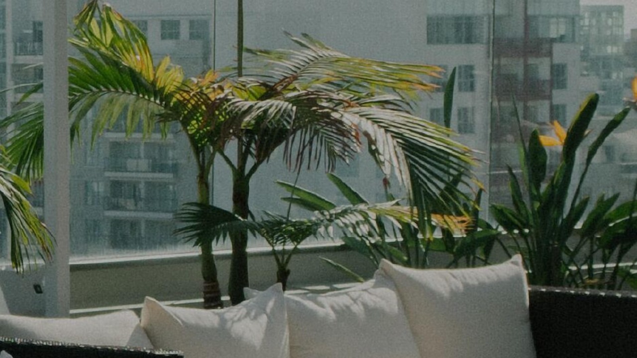 Photo of Outdoor in Chinatown