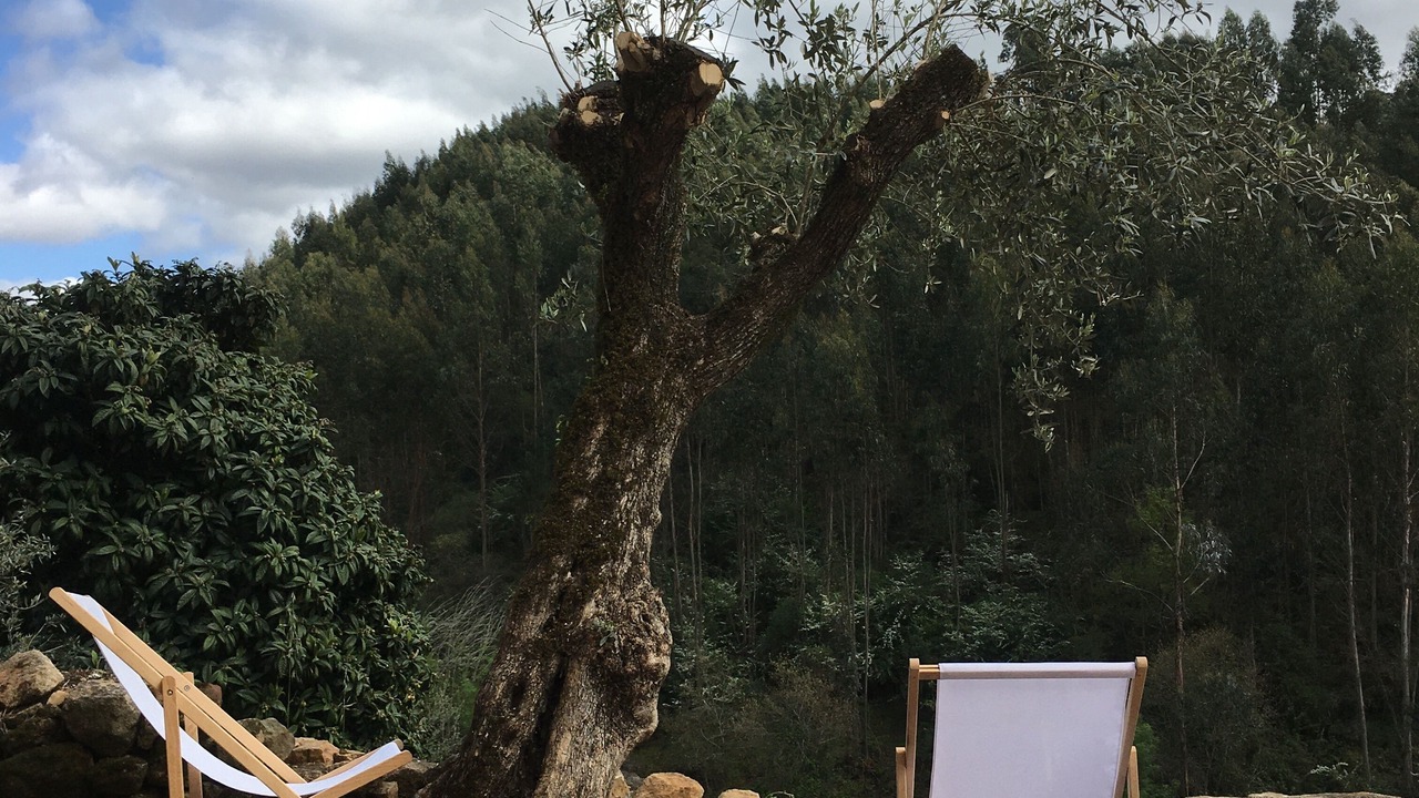 Photo of Outdoor in Ferreira do Zezere
