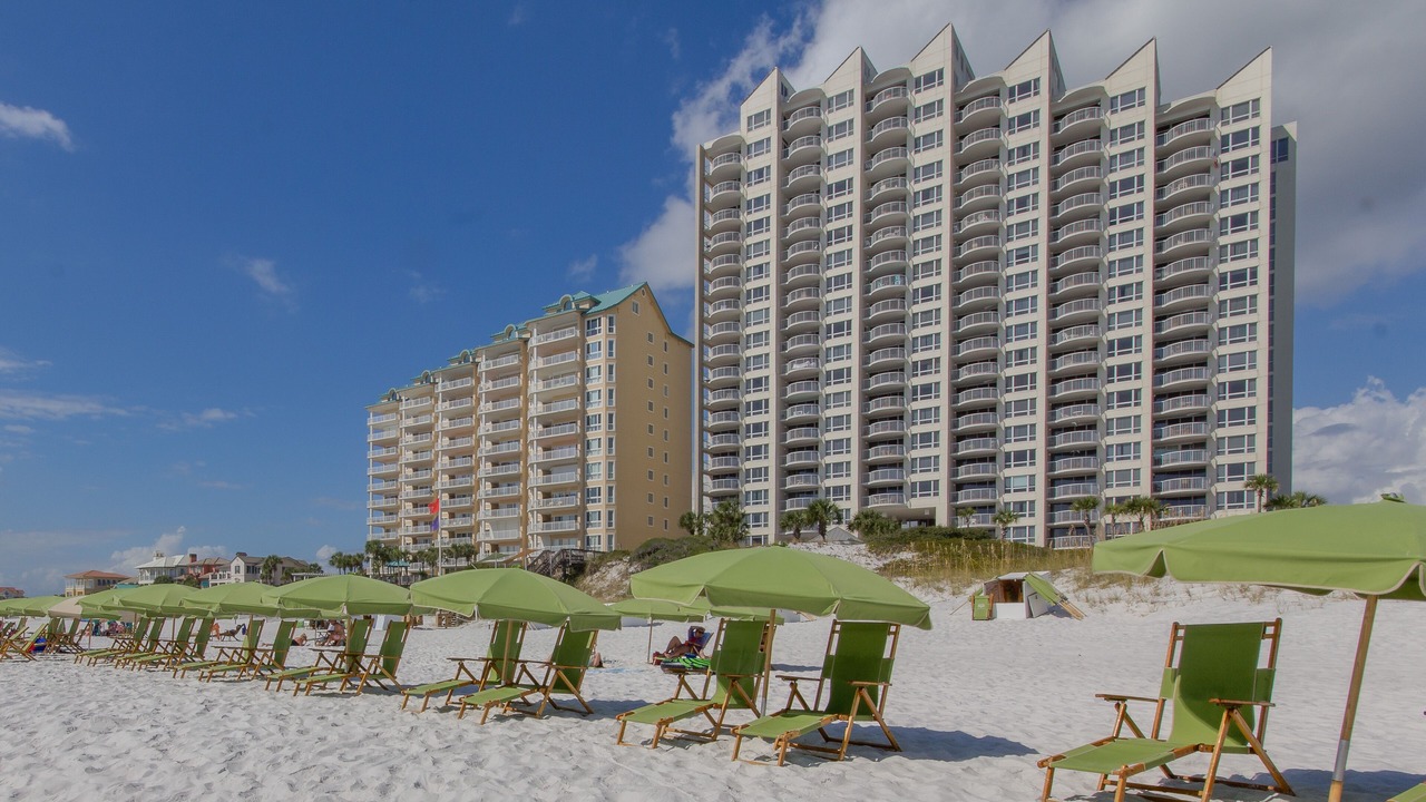 Photo of Others in Gulf Pines