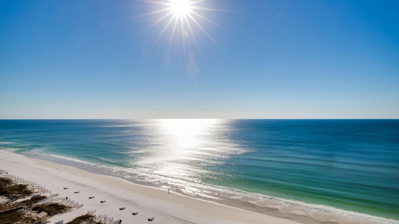 Photo of Others in Gulf Pines