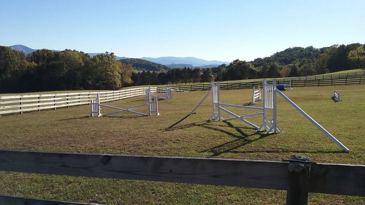 Photo of Outdoor in Lexington