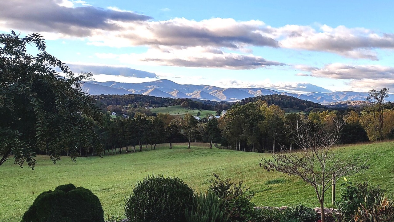 Photo of Outdoor in Lexington