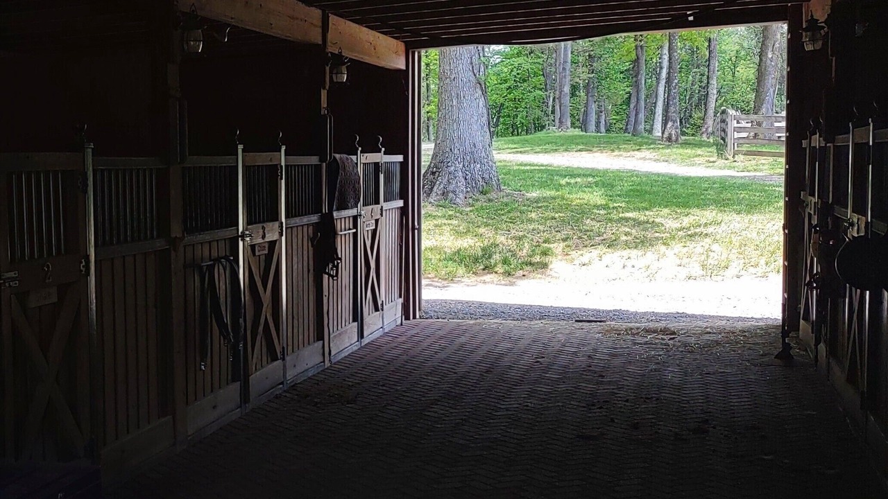 Photo of Outdoor in Lexington