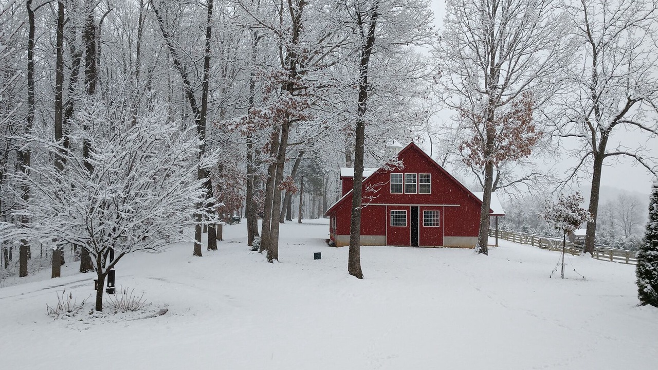 Photo of Outdoor in Lexington