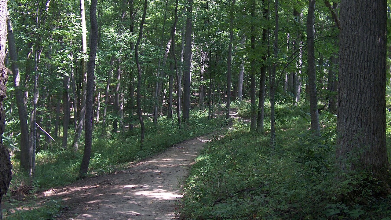 Photo of Outdoor in Lexington