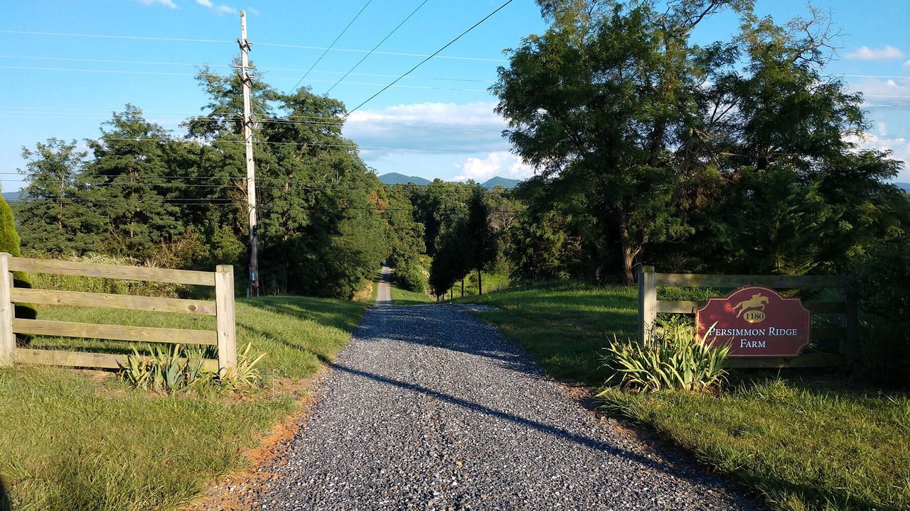 Photo of Outdoor in Lexington
