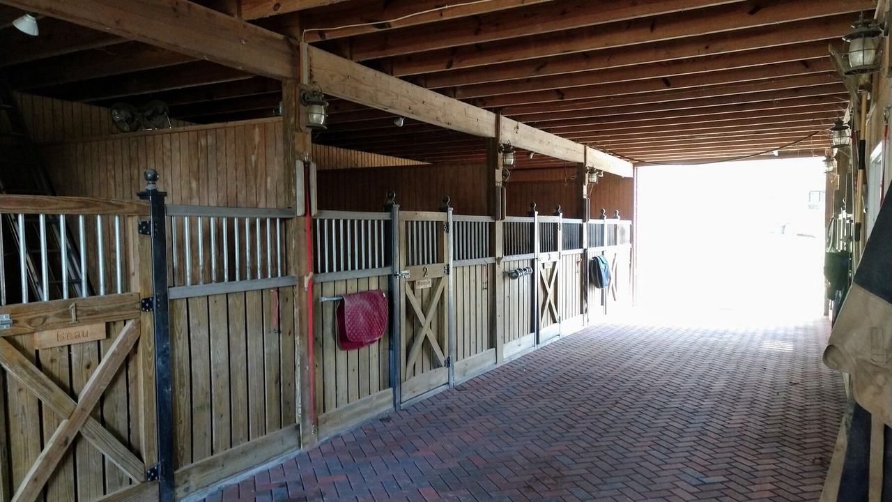 Photo of Outdoor in Lexington