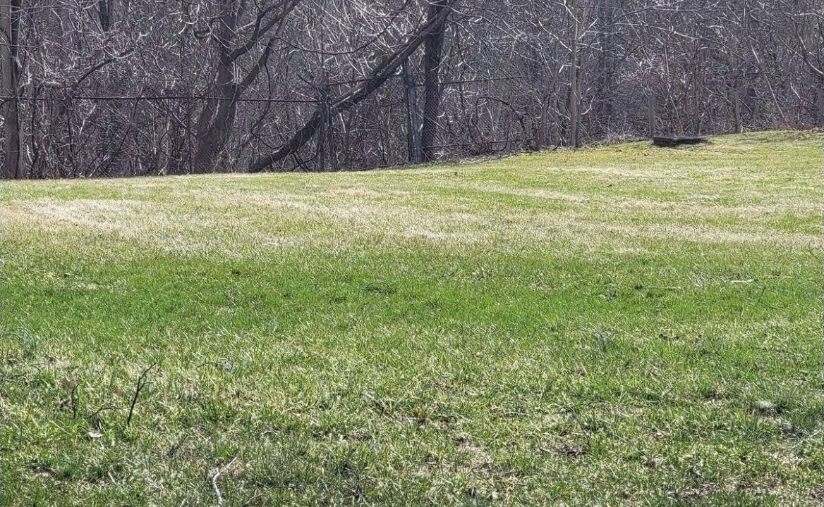 Photo of Others in Saugerties