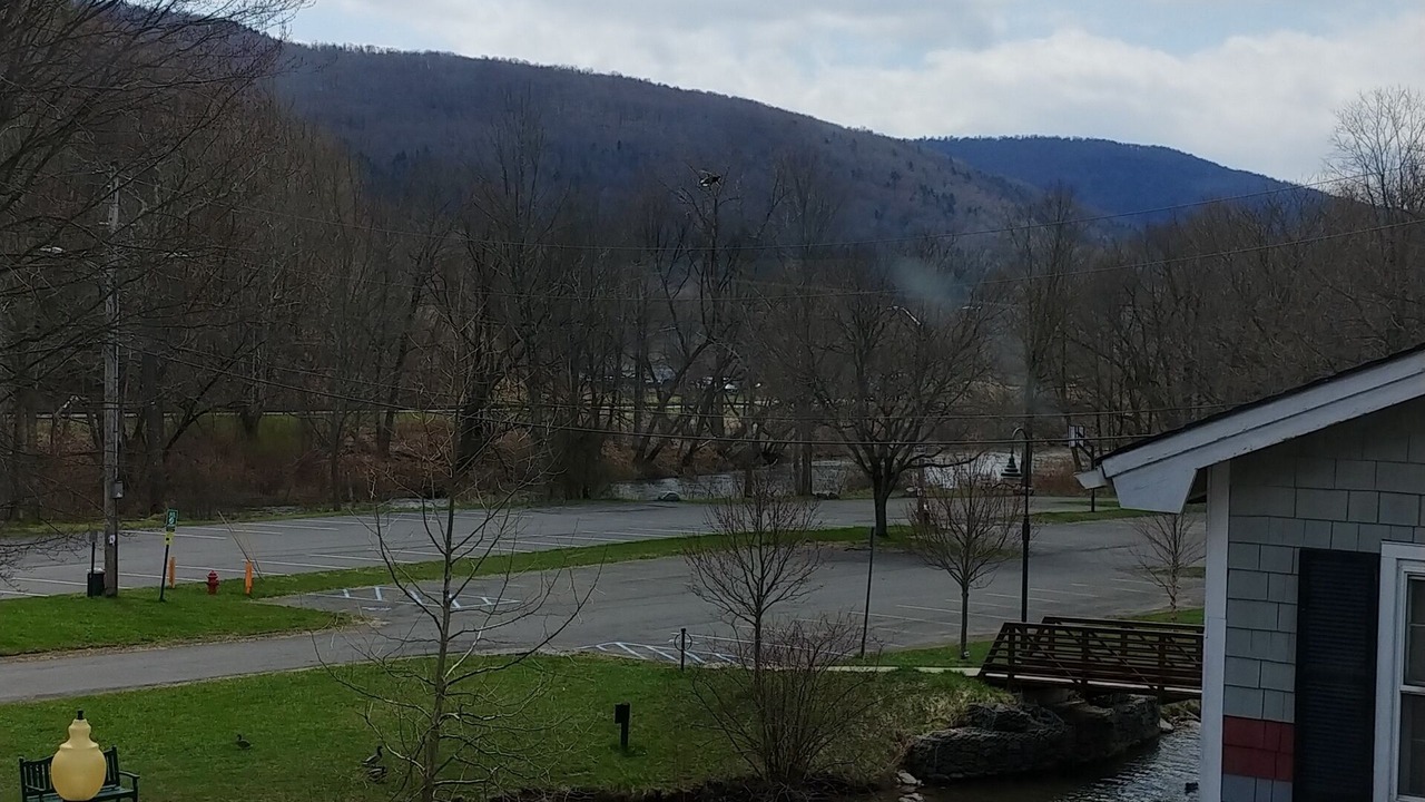Photo of Others in Margaretville