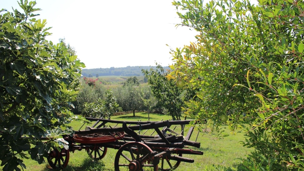 Photo of Outdoor in Fuskulin