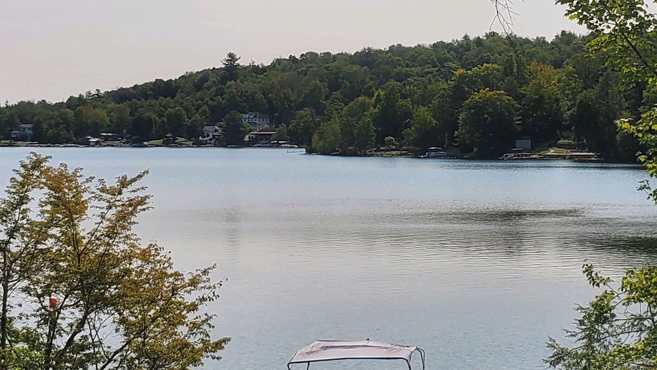 Photo of Others in White Lake