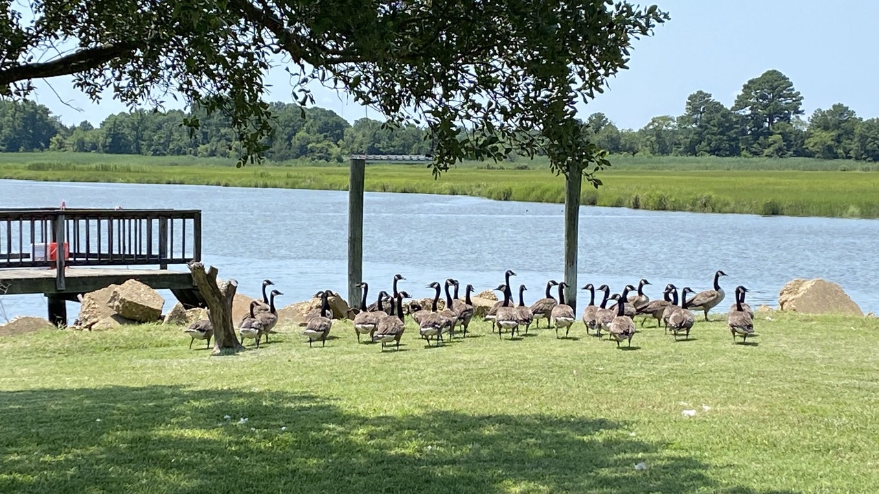 Photo of Outdoor in Hampton