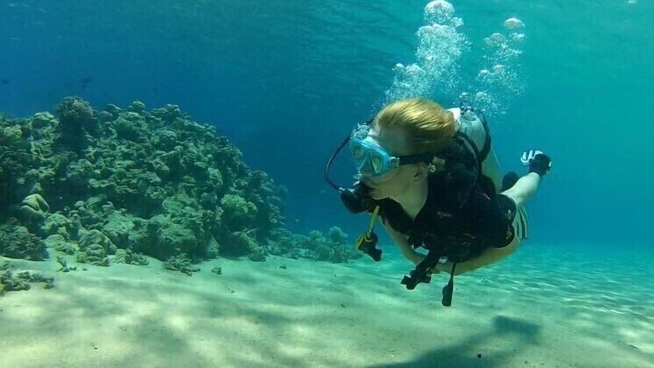Photo of Others in Sharm El Sheikh
