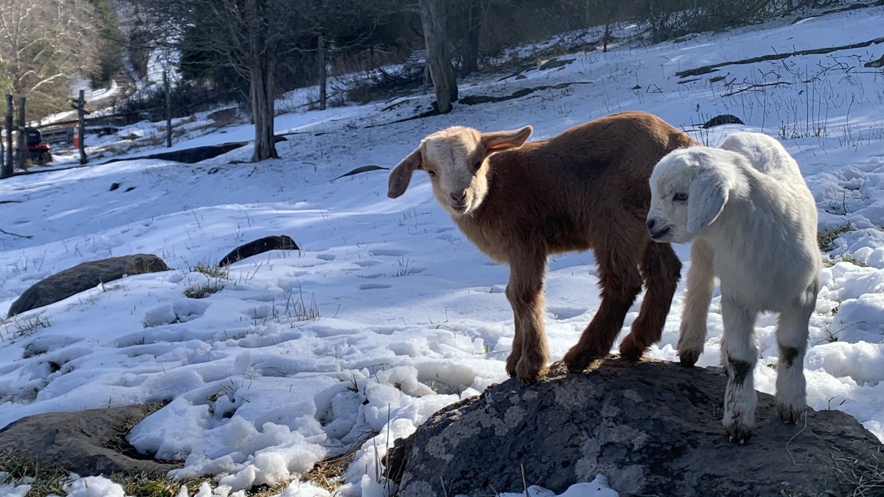 Photo of Others in Blacksburg