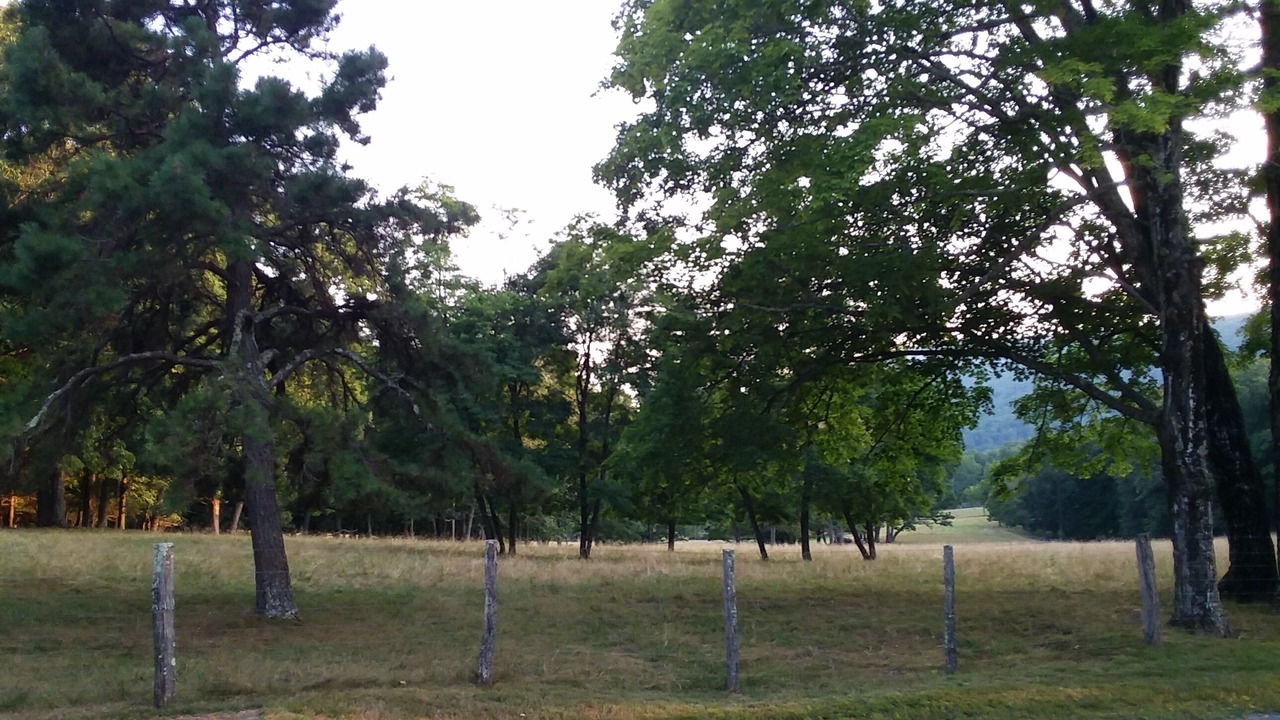 Photo of Outdoor in Monterey