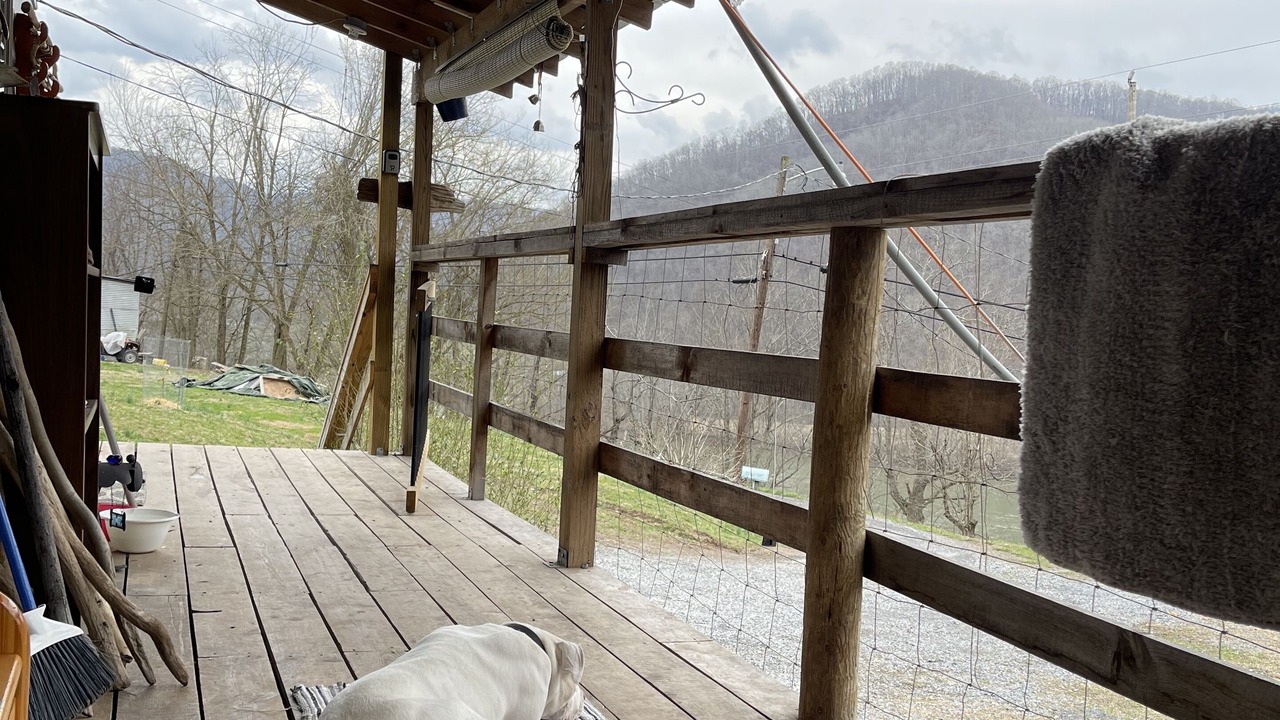 Photo of Outdoor in Elton