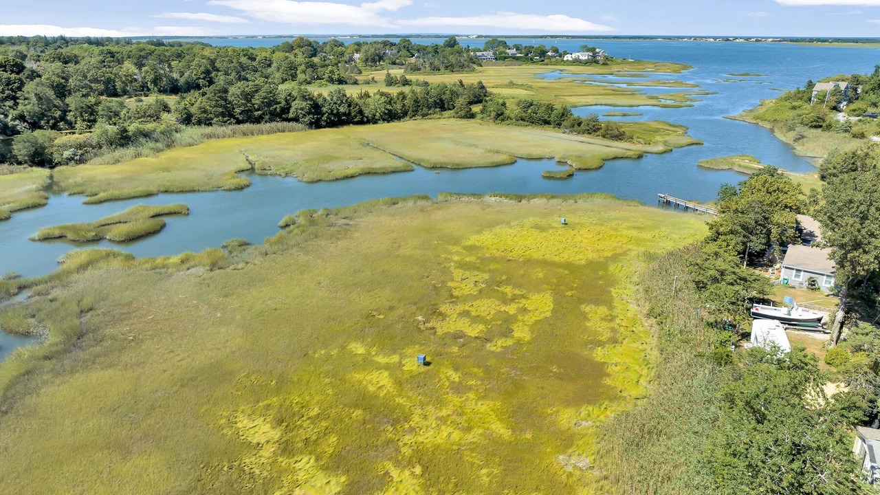 Photo of Outdoor in Barnstable