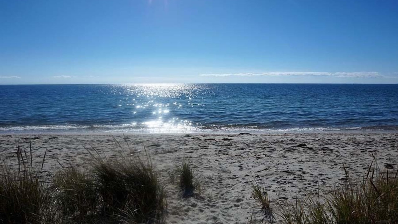 Photo of Others in West Hyannisport