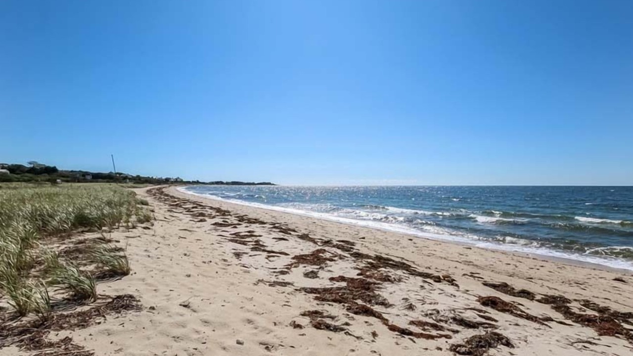 Photo of Others in West Hyannisport