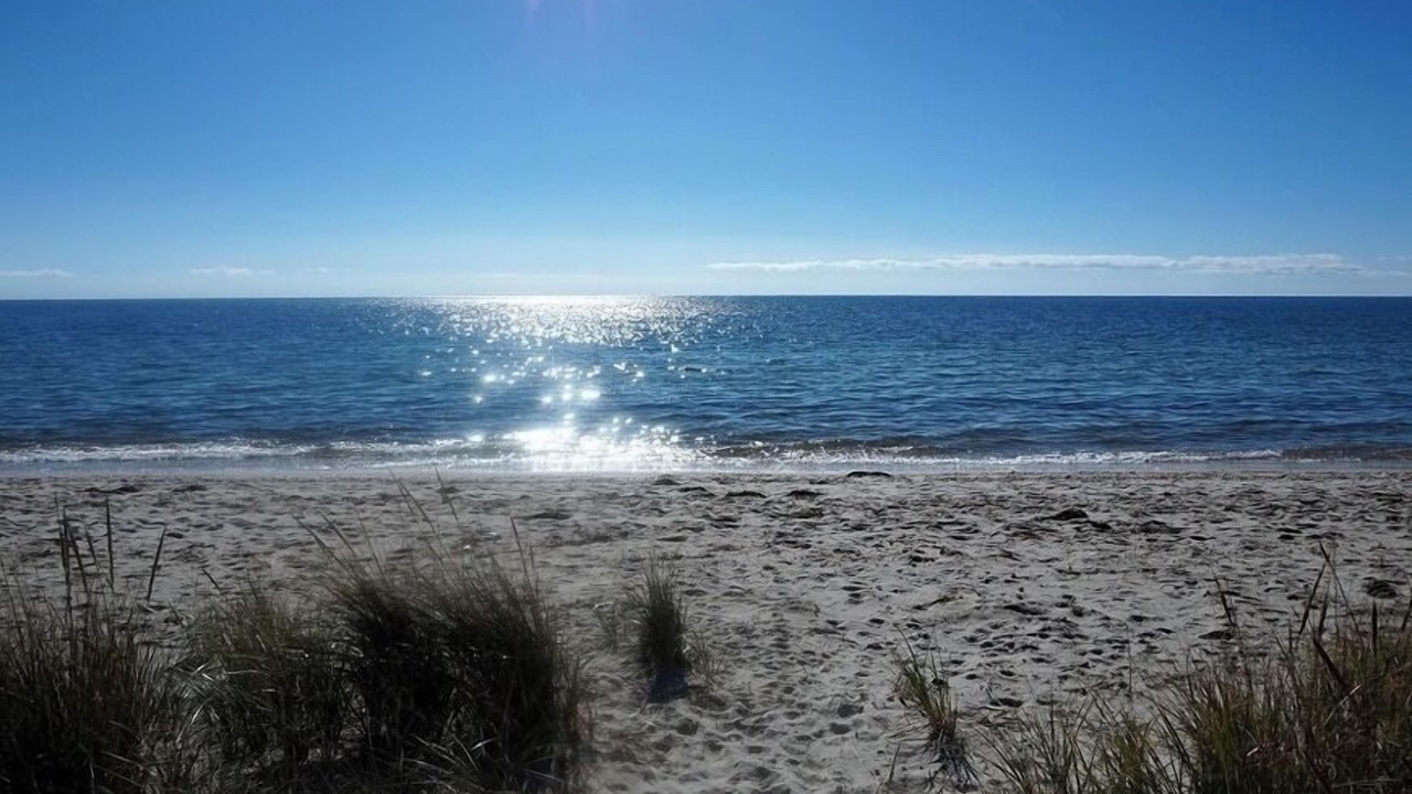 Photo of Others in West Hyannisport